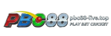 PBC88 offers huge cricket payouts—bet on cricket matches. Download the app to see the latest odds.